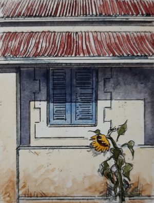 Karoo Memories: The Sunflower