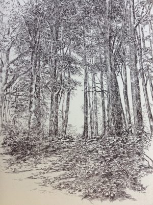 "A Little Noiseless Noise amongst the leaves"