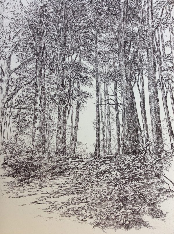 "A Little Noiseless Noise amongst the leaves"