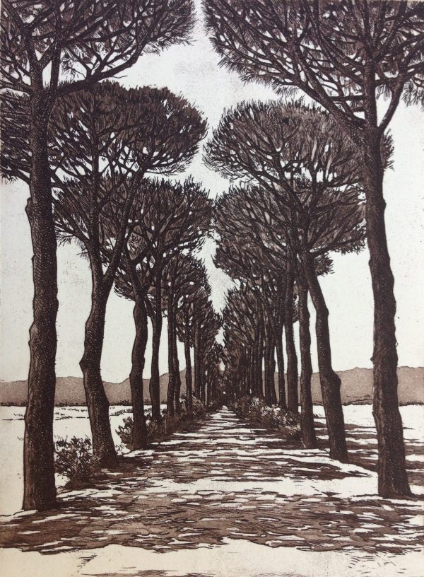 Avenue