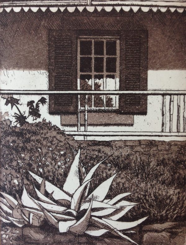 Tortoiseback Farm