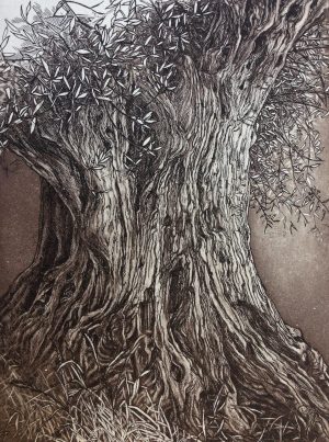 Ancient Olive