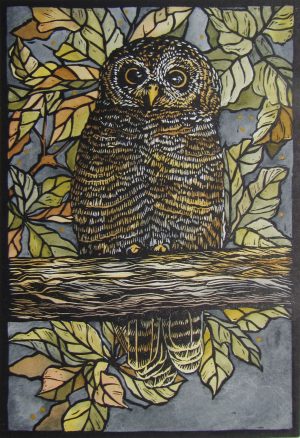 Owl