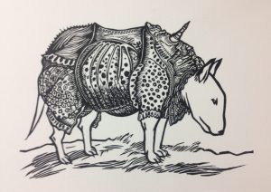 Domesticated Dürer