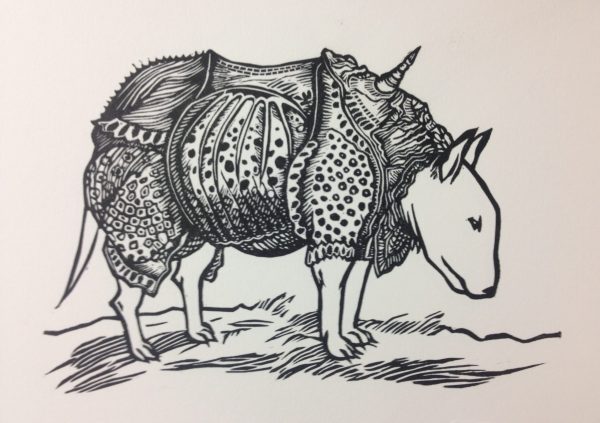 Domesticated Dürer