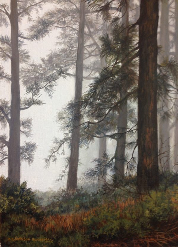 Misty Trees