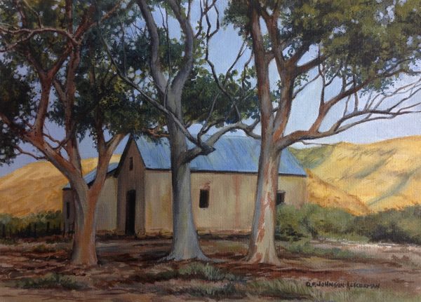 Three Eucalyptus Trees