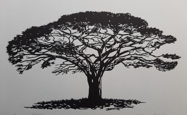 Umbrella Thorn