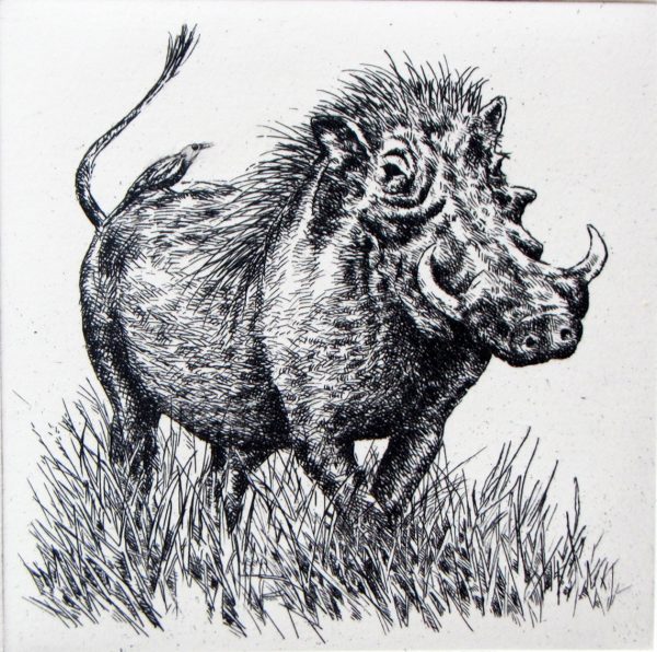 Warthog