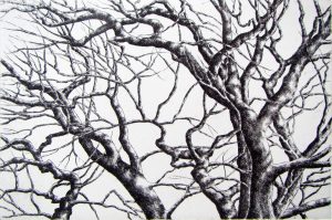 Winter Filigree