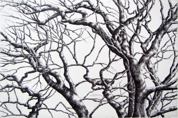 Winter Filigree