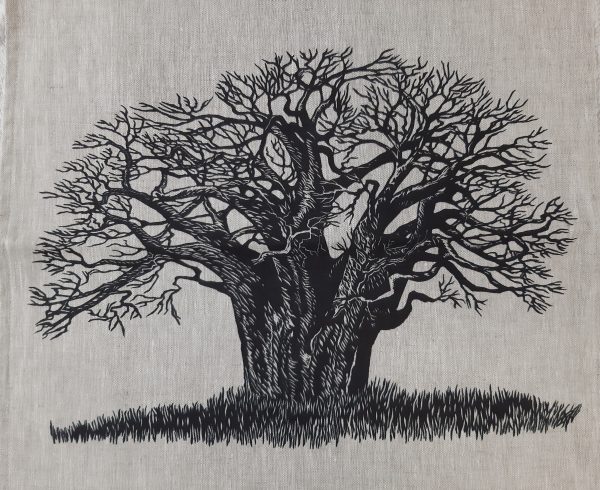 Baobab