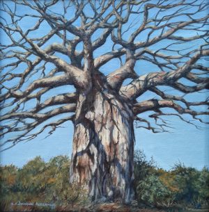 Baobab