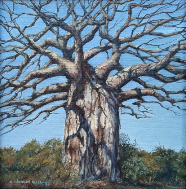 Baobab