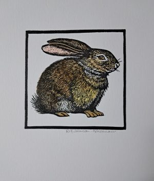 Rabbit