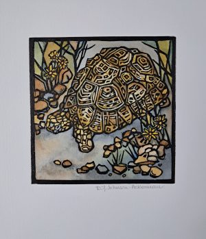 Tortoise
