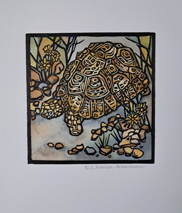 Tortoise